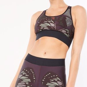 Ultracor Terrain Monarch bra